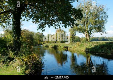 The Grand Western Canal about 3 miles from Tiverton near Halberton, Devon, UK - John Gollop Stock Photo