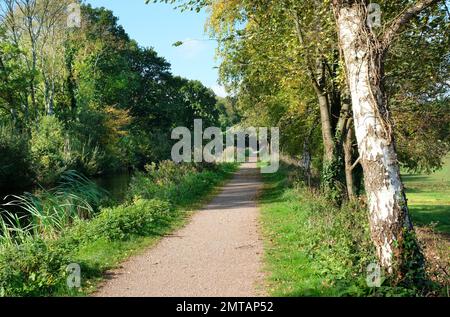 The Grand Western Canal about 3 miles from Tiverton near Halberton, Devon, UK - John Gollop Stock Photo