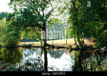 The Grand Western Canal about 3 miles from Tiverton near Halberton, Devon, UK - John Gollop Stock Photo