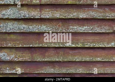 Old grungy wooden wall with lichen on brown weathered boards,  background photo texture Stock Photo