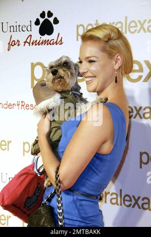 Katherine Heigle attends the puppy-themed grand opening of the new Peter Alexander boutique benefiting Hearts United for Animals and Kinder4rescue.org on Robertson Blvd in Los Angeles, CA. 10/22/08. Stock Photo