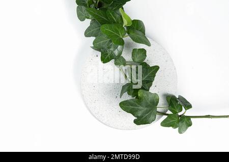A podium made of concrete with green leaves of an ivy plant for the presentation of packaging and cosmetics, top view, on a white background. Product Stock Photo