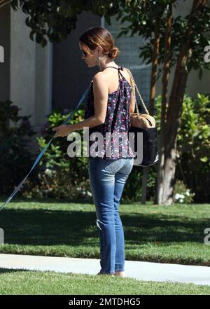 Exclusive!! Rachel Bilson was seen attending a luncheon with family and friends in a suburban Los Angeles neighborhood today.  She had her dog Thurmen Murmen along for the ride.  Speculation persists about the status of Rachel's relationship with actor Hayden Christensen and whether the two are engaged.  Los Angeles, CA.  9/8/08. Stock Photo