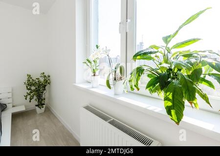 White bedroom with brick elements, balcony, double bed, Stock Photo
