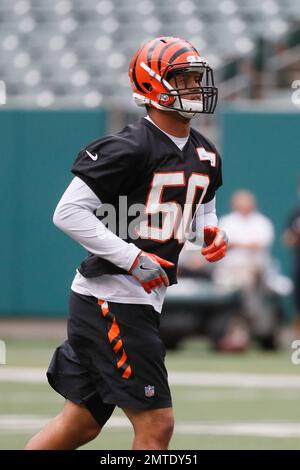 Cincinnati Bengals outside linebacker Jordan Evans (50) looks on after an  NFL football game against the Jacksonville Jaguars, Thursday, Sept. 30,  2021, in Cincinnati. (AP Photo/Emilee Chinn Stock Photo - Alamy