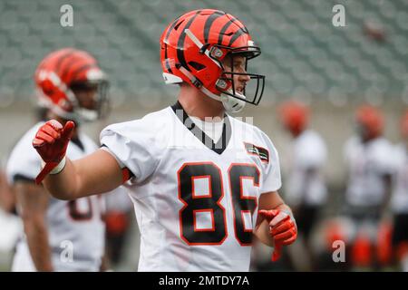 Cincinnati Bengals tight end Mason Schreck (86) practices during mandatory  minicamp, Wednesday, June 14, 2017, in Cincinnati. (AP Photo/John Minchillo  Stock Photo - Alamy