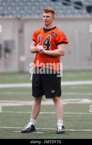 New NFL Football CINCINNATI BENGALS Black Orange #14 Andy Dalton Player  Jersey | SidelineSwap