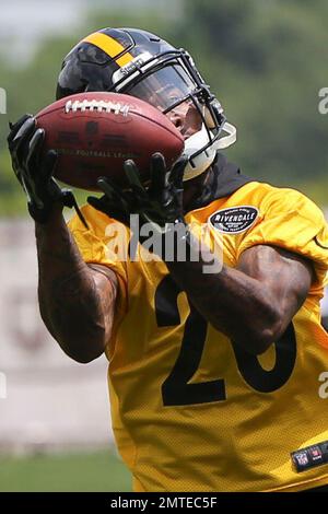 Pittsburgh Steelers cornerback Cameron Sutton (20) celebrates during a NFL  football game against the Cincinnati Bengals, Sunday, Sept. 11, 2022, in  Cincinnati. (AP Photo/Emilee Chinn Stock Photo - Alamy