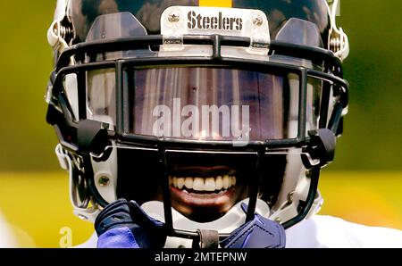 Pittsburgh Steelers Antonio Brown smiles from the bench while watching the  replay of his first quarter touchdown against the Indianapolis Colts at  Heinz Field in Pittsburgh on August 19, 2012. UPI/Archie Carpenter