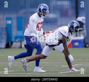 NFL NY Giants Branded Clothing Display, Modell's Sporting Goods Store  Interior, NYC Stock Photo - Alamy