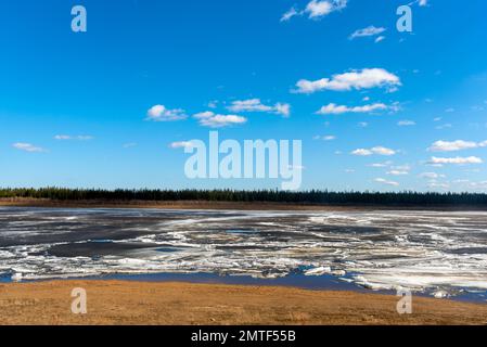 The spring river in the north of Yakutia Vilyui thaws from the ice in the background and the forest. Ice drift. Stock Photo