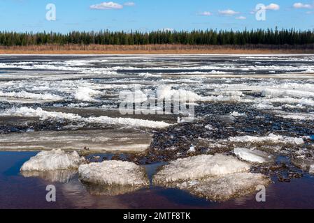 Ice drift on the spring river in Yakutia Vilyui against the background of the taiga forest and clear water over the clouds during the day. Stock Photo