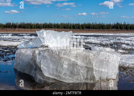 The ice floe lies aground. Ice drift on the spring river in Yakutia Vilyui against the backdrop of the taiga forest and clear water over the clouds Stock Photo