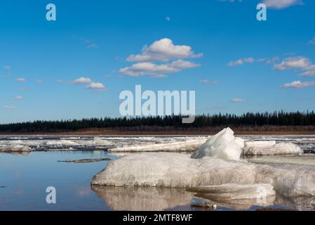 Ice drift on the spring river in the north of Yakutia Vilyui against the background of the taiga forest and clear water over the clouds. Stock Photo