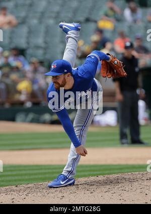 New York Yankees celebrate pitcher Danny Farquhar at spring training