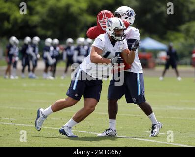 Tennessee Titans fullback Joe Bacci (46) warms up during NFL football  minicamp Wednesday, June 14, 2017, in Nashville, Tenn. (AP Photo/Mark  Humphrey Stock Photo - Alamy