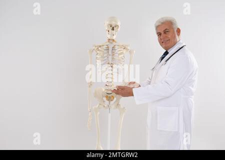 Senior orthopedist with human skeleton model against light background Stock Photo