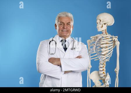 Senior orthopedist with human skeleton model on blue background Stock Photo