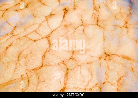 Abstract light surface with slits or wrinkles on the convex side. Stock Photo