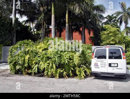 Exclusive!! Paulina Rubio's Miami home gets a security tune-up after a reported break-in on Saturday night in MIami, FL.  6/22/09. . Stock Photo