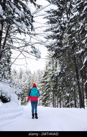 Woman walking along empty road in winter forest Stock Photo