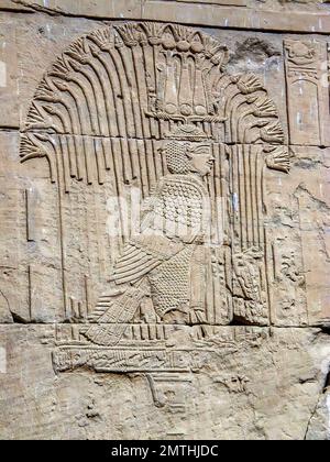 Ancient Ritual Using Bird Heads Human head bird body representing an ancient Egyptian mythological god ...