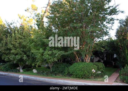 https://l450v.alamy.com/450v/2mtjmde/exclusive!!-scott-weiland-is-reportedly-selling-his-sherman-oaks-home-for-225-million-the-3-bed-3-bath-home-is-3300-squire-feet-and-sits-on-41-acres-of-lushly-landscaped-property-with-many-mature-trees-the-home-built-in-1926-features-hardwood-floors-a-swimming-pool-fireplaces-among-other-luxurious-features-los-angeles-ca-10308-2mtjmde.jpg