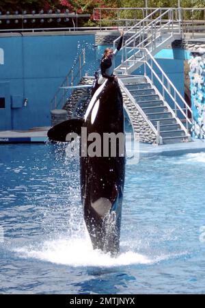 General views of the Sea World Park where trainer Dawn Brancheau, 40, was killed by a five-ton killer whale that grabbed the trainer after her hair brushed its nose and held her in its mouth beneath the water causing her to drown. The incident, witnessed by 50 tourists, was not the first for the whale, having killed a trainer at a park in British Columbia before moving to Sea World. Orlando, FL. 2/25/10.   . Stock Photo