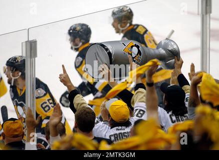 Inflatable NHL Team Logo Stanley Cup