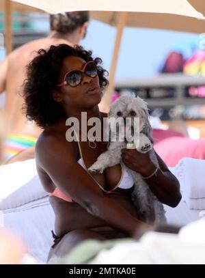 Tennis champion and dog lover Serena Williams gets some loving from an adorable dog that came by for a visit on the beach. Serena was enjoying a day of relaxation after her defeat against Victoria Azarenka in the Sony Ericsson final and showered the little dog with love. Serena's own dog, a Jack Russell Terrier named Jackie, was also with her on the beach.  Williams was joined be her sister Venus and friends.  The group had lunch, chilled at the beach, took a dip in the ocean and rode a jetski which she fell off of in the warm Atlantic ocean. Miami, FL. 4/5/09. Stock Photo