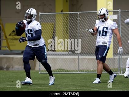 Tennessee Titans fullback Joe Bacci (46) warms up during NFL football  minicamp Wednesday, June 14, 2017, in Nashville, Tenn. (AP Photo/Mark  Humphrey Stock Photo - Alamy