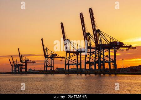 Beautiful sunset at a seaport with container cranes Stock Photo