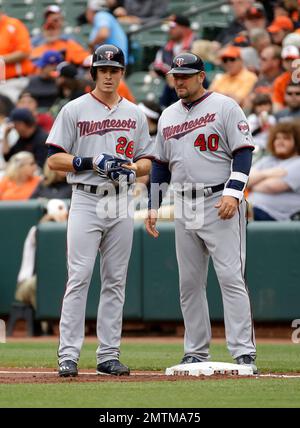 Regensburg, Germany. 16th Nov, 2019. Baseball: Max Kepler, German baseball  pro at the Minnesota Twins, is in the Armin Wolf Arena. Credit: Armin  Weigel/dpa/Alamy Live News Stock Photo - Alamy