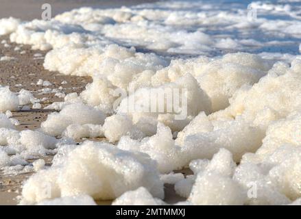 foam from some waves at the lonely beach Stock Photo