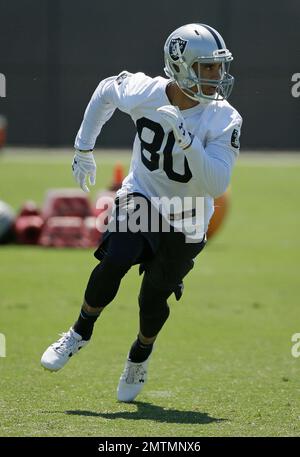 Oakland Raiders wide receiver Andre Holmes (18) during an NFL preseason  football game against the Arizona Cardinals, Friday, Aug. 12, 2016, in  Glendale, Ariz. (AP Photo/Rick Scuteri Stock Photo - Alamy