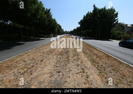 EXCLUSIVE!! - Has Simon Cowell joined the Beverly Hills elite that ignore Los Angeles’ tough water restrictions? His mansion on Beverly Hills' sought after Palm Drive is within eyesight of city grass areas where water has been cut off due to Southern California’s ongoing record-breaking five-year drought, yet his property remains lush and green. Sunset Boulevard’s yellow grass median 50ft to the right, clearly signposted with drought warnings, match Cowell’s neighbour’s dying lawns 50ft to the left of his property in Los Angeles, California. 1st August 2016. Stock Photo