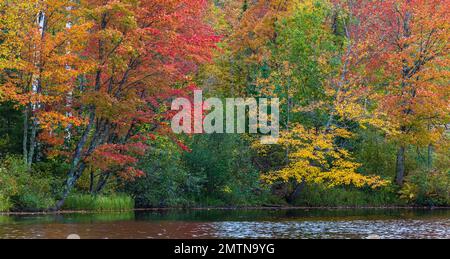Fall colors on the East Fork of the Chippewa River in northern Wisconsin. Stock Photo