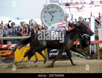 IMAGE DISTRIBUTED FOR LONGINES Cloud Computing ridden by jockey