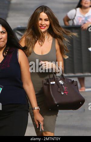 Sofia Vergara purse wpnderful I