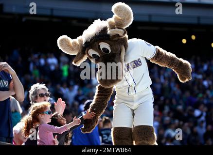 Moose, the Seattle Mariners' mascot, greets George The Moose Man King  outside Safeco Field prior to the Mariners' home opener MLB baseball game  against the Oakland Athletics, Friday, April 13, 2012, in