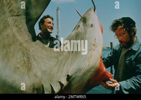 Jaws Year : 1975 USA Director : Steven Spielberg Roy Scheider, Richard Dreyfuss Stock Photo