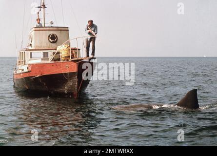 Jaws Year : 1975 USA Director : Steven Spielberg Richard Dreyfuss, Robert Shaw Stock Photo