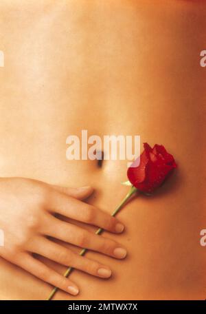 American Beauty Year : 1999 USA Director : Sam Mendes Poster (Key Art) Stock Photo