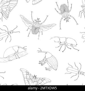 Vector seamless pattern of tropical insects. Repeat background of hand drawn outlines of atlas moth, weevil, butterfly, goliath, Hercules beetle, Span Stock Vector