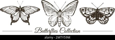 Vector set of hand drawn black and white butterflies. Engraving retro illustration. Realistic insects isolated on white background. Detailed graphic d Stock Vector