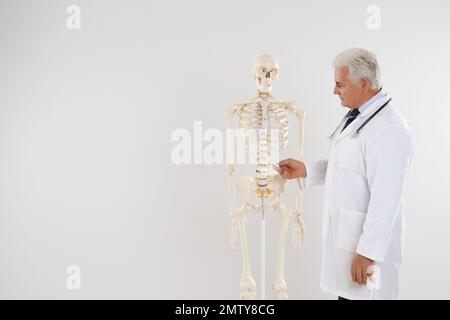 Senior orthopedist with human skeleton model against light background. Space for text Stock Photo