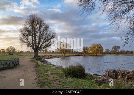 Dawn of February at beautiful Bushy Park in  Surrey UK Stock Photo