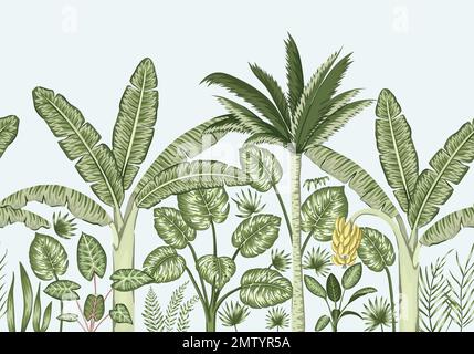 Vector seamless border background with tropical plants. Vintage horizontal seamless  backdrop. Exotic jungle wallpaper. Stock Vector