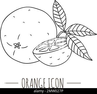 Vector black and white illustration of orange isolated on white background. Citrus icon. Fruit concept. Fresh food illustration. Stock Vector