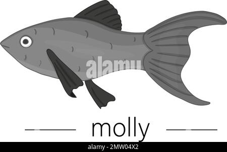 Vector colored illustration of aquarium fish. Cute picture of molly for pet shops or children illustration Stock Vector